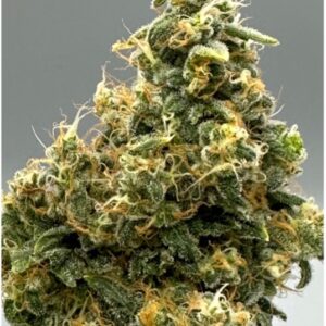 Double Black Chem