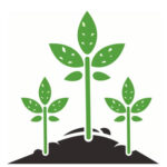 plant-growth-icon